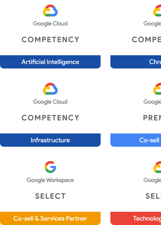Google Partner of the Year Badge