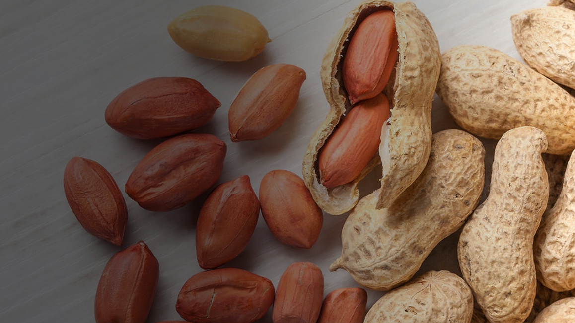 Santa Helena Modernizes Operations and Increases the Efficiency of Its Sales Processes​